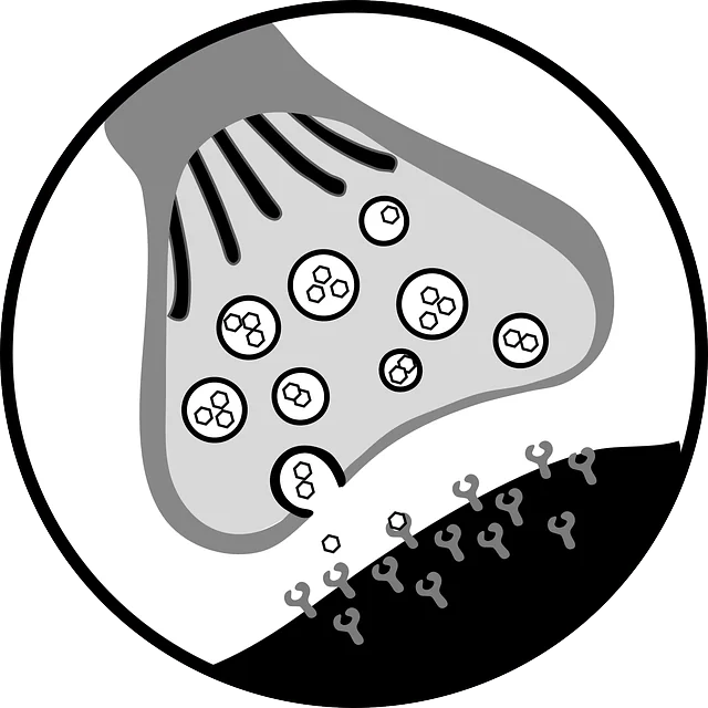 neuron receptor