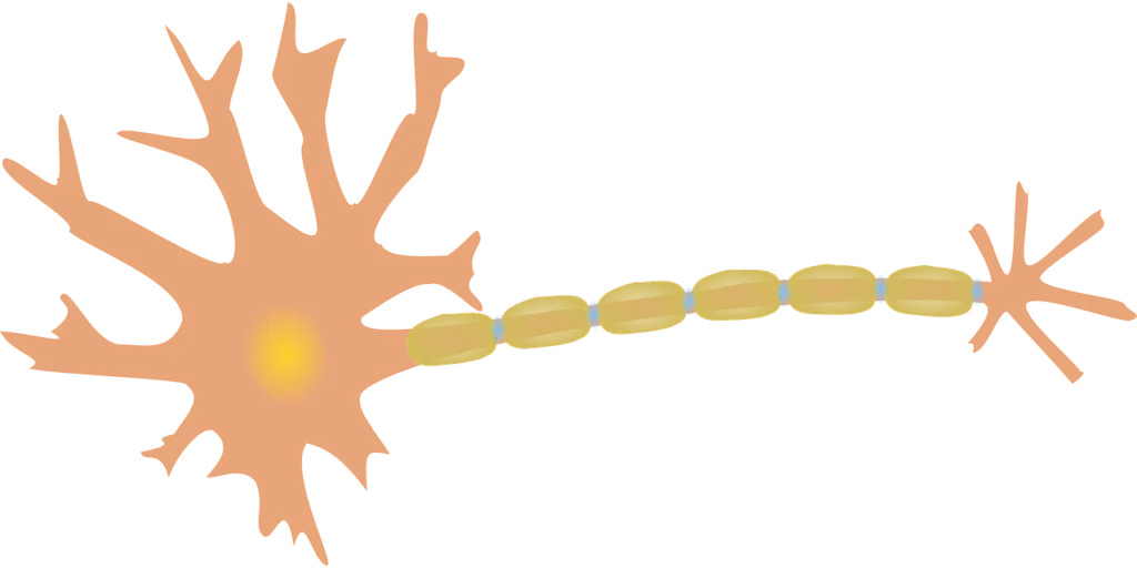 neuron1280x640