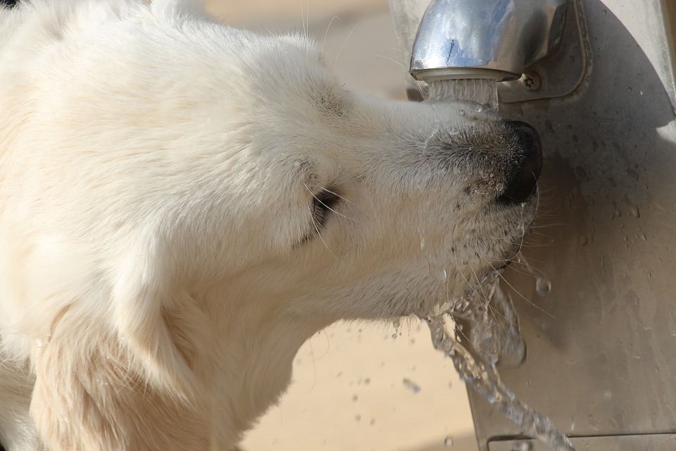 Hydration houston