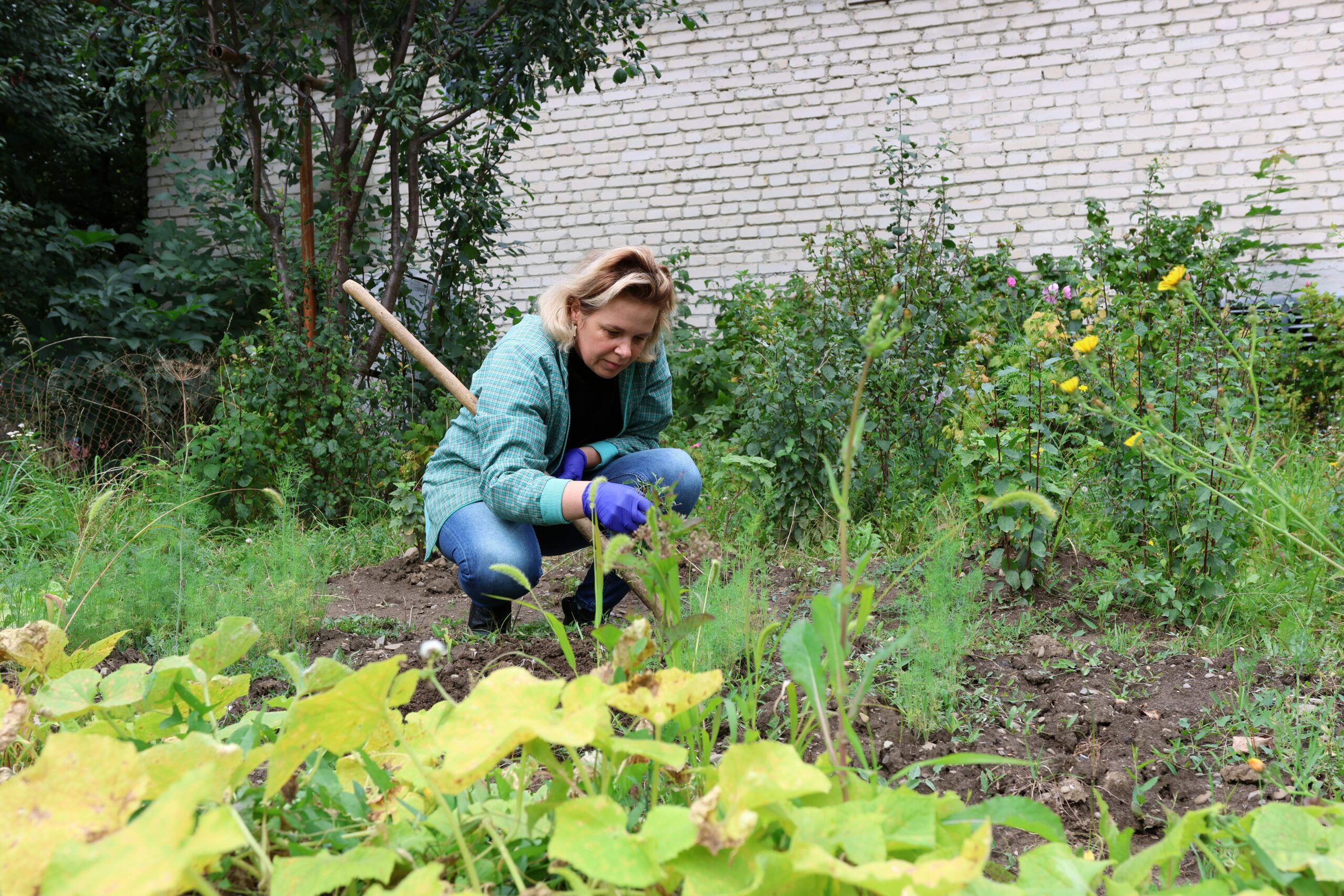 Weekend Gardening